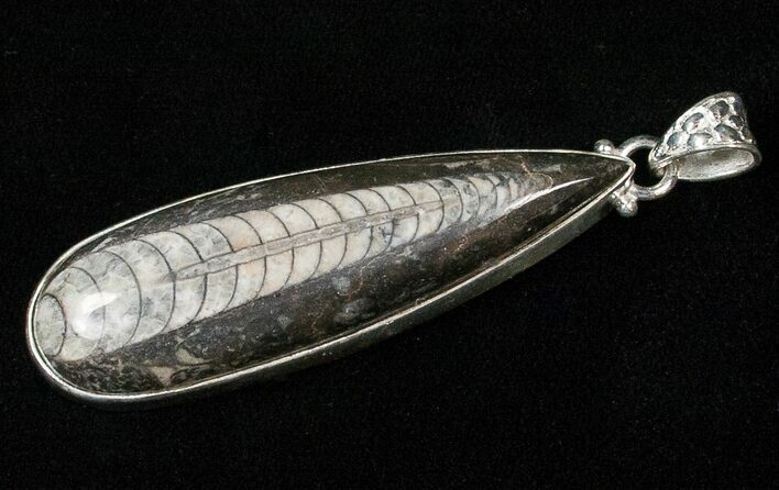 Fossil Orthoceras Pendant - Sterling Silver #16719
